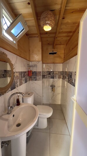 Ein Badezimmer mit Holzboden, einem großen Spiegel, einem Waschbecken, einer Toilette und einer Dusche.