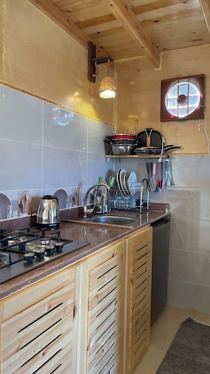 Microondas y placa de cocina