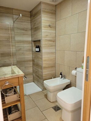 Shower, hair dryer, bidet, towels