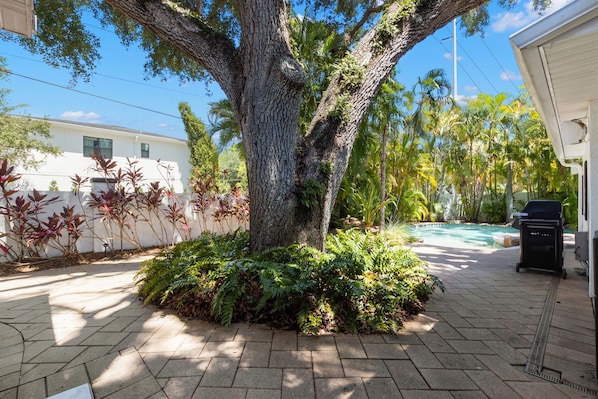 A tree-lined patio with a swimming pool, a grill, and a white building in the background.