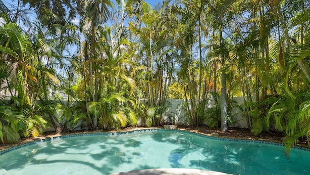 Une piscine entourée de grands palmiers et un chemin de pierre menant à la piscine.