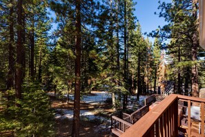 House, 3 Bedrooms | Property grounds