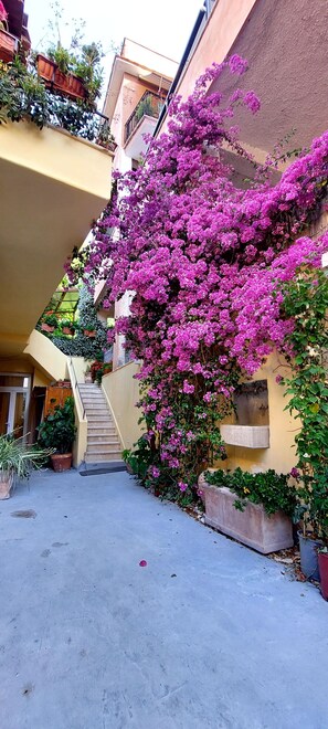 Property grounds - Casa Elisa e Carla – Beautiful Blue Apartment not far from the Vatican (ROMA)