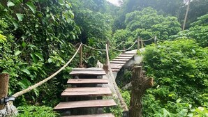 A wooden staircase surrounded by lush greenery, leading up a hill. - Peaceful, air-conditioned jungle bungalow - less than 5mins from Lamai beach (Chang Wat Surat Thani)