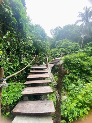 Property grounds - Peaceful, air-conditioned jungle bungalow - less than 5mins from Lamai beach (Chang Wat Surat Thani)