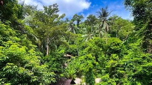 A lush, tropical garden with dense foliage and a small structure, likely a guesthouse or bungalow, surrounded by trees and rocks. - Peaceful, air-conditioned jungle bungalow - less than 5mins from Lamai beach (Chang Wat Surat Thani)