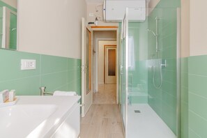 Shower, hair dryer, bidet, towels