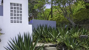 Un jardín con un edificio blanco, escalones de piedra y plantas de agave.
