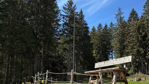 Een picknickplaats met een bank en een touwhal, omringd door groen en bomen.