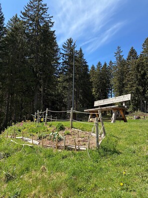 Children’s area - Apartment 'Kleine Auszeit' with Balcony, Sauna, and Pool (Schönwald)