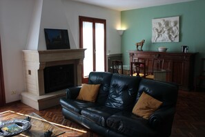 Smart TV, fireplace, books