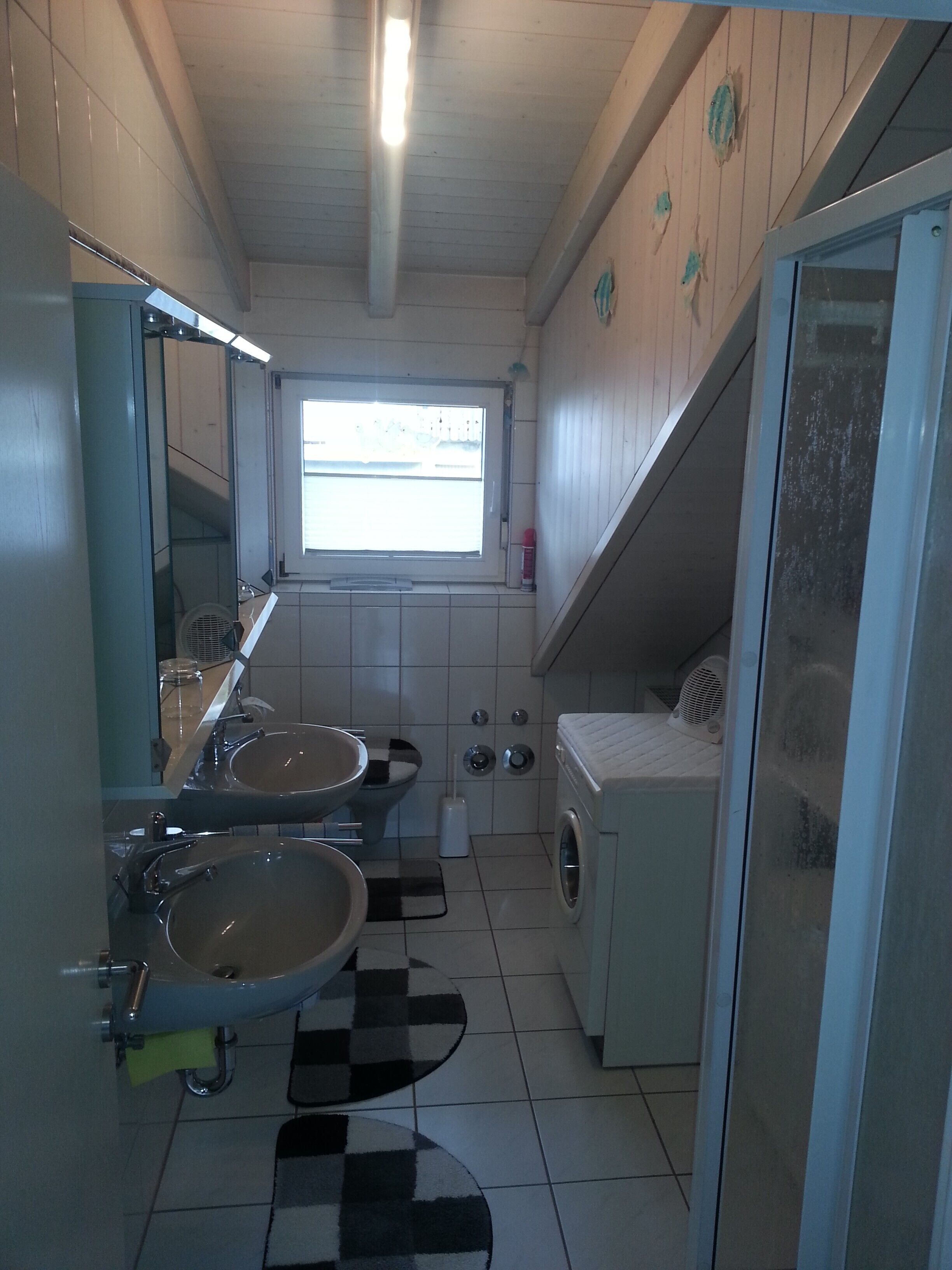 Dusche, Haartrockner