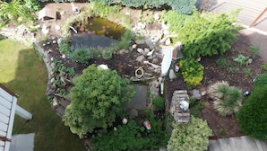 Un jardín con un estanque, diversas plantas y una antena parabólica.
