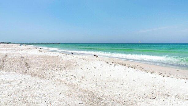 Ein Strand mit blauem Himmel, ruhigem Meer und einem Pier in der Ferne.