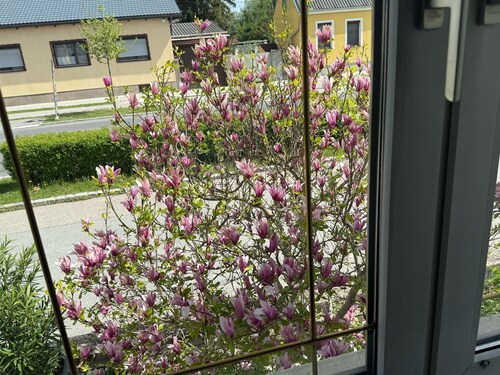  ANNA - 3-bedroom house in enjoyable Marchegg with WiFi