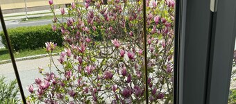  ANNA - 3-bedroom house in enjoyable Marchegg with WiFi