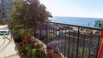 Terrain de l’hébergement