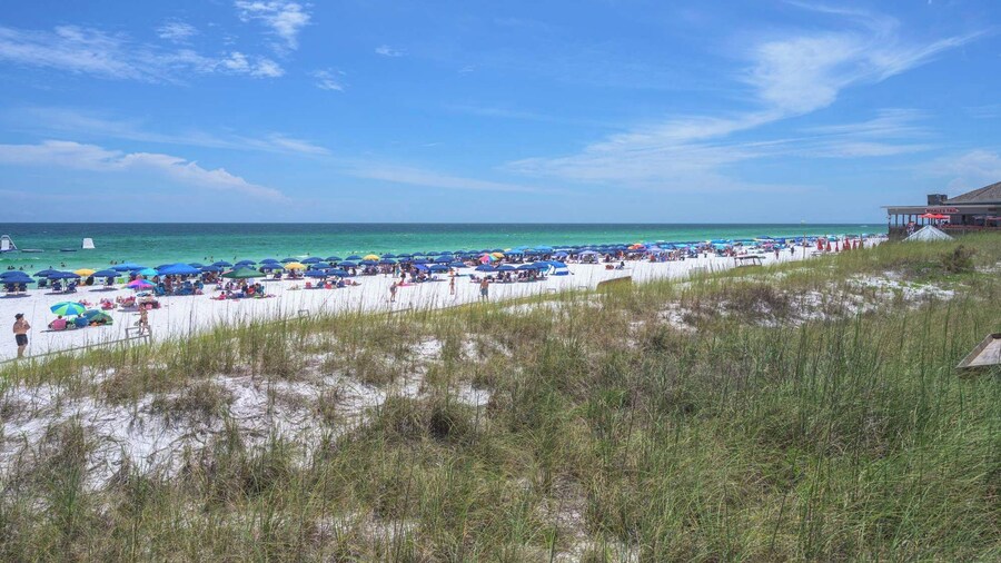Sunshine & Whiskey Condo for 6 With Resort Amenities Near Grand Boulevard