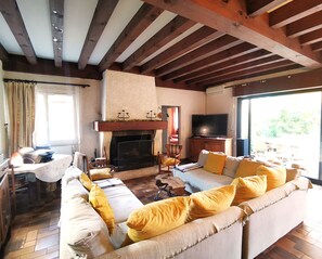Fernseher, Kamin, Tischtennisplatte, Bücher