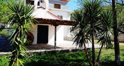 25 meters from the beach 7