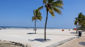 Une plage bordée de palmiers, un rivage sablonneux et un ciel dégagé.