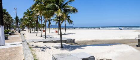 A beach with palm trees, a sandy shore, and a clear blue sky.