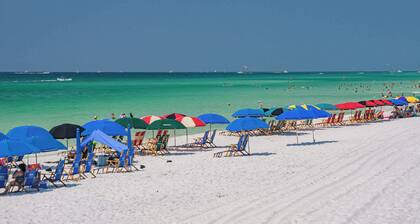 Sun-kissed Shores