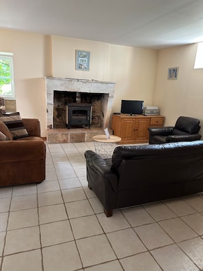 TV, fireplace, DVD player, ping pong