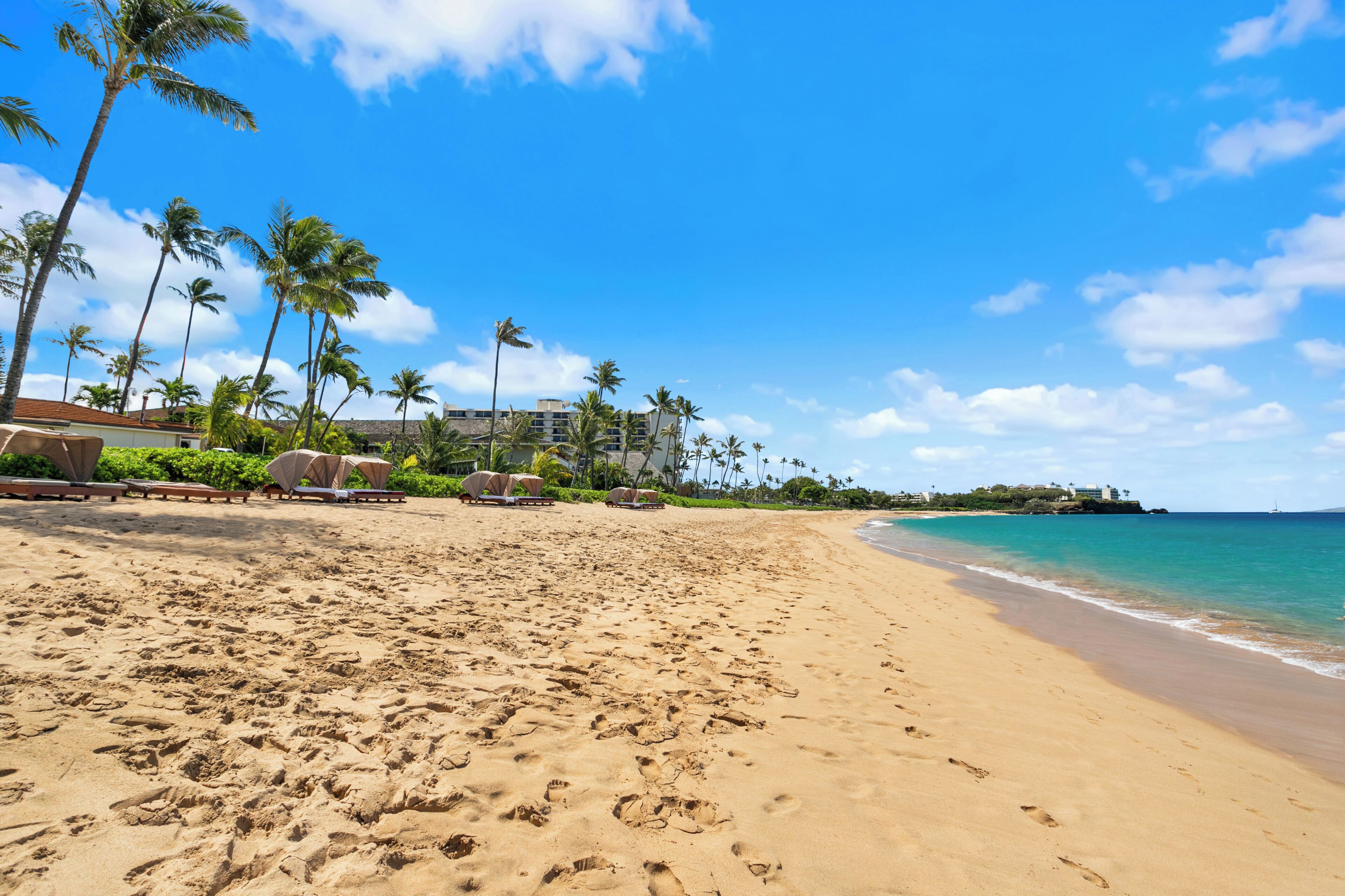 A beach with footprints, palm trees, and a building in the background.