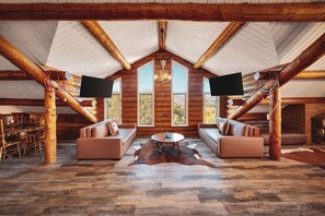 TV, fireplace, video games, books