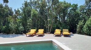 Seasonal outdoor pool, pool umbrellas, sun loungers