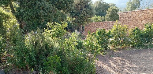 CASA DI RAMATTA CHEZ L'APICULTRICE