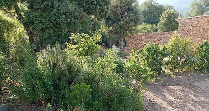 CASA DI RAMATTA CHEZ L'APICULTRICE