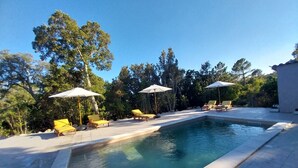A swimming pool with sun loungers and umbrellas, surrounded by trees. - CASA DI RAMATTA CHEZ L'APICULTRICE (Sotta)