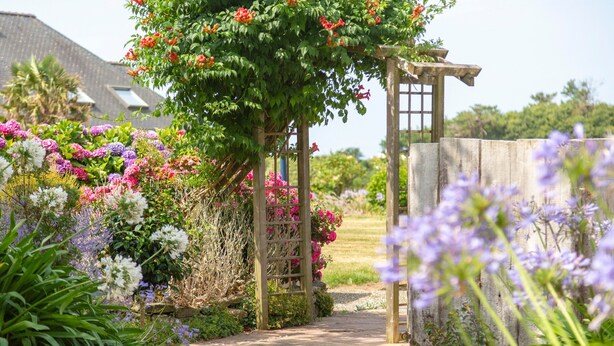 Un sendero en un jardín con un pergolado de madera, rodeado de diversas plantas florecientes.