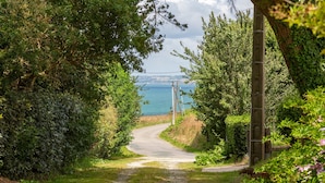 Un camino rural estrecho que lleva a una zona costera con abundante vegetación y una vista despejada del mar.