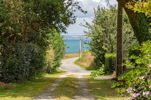 Un camino rural estrecho que lleva a una zona costera con abundante vegetación y una vista despejada del mar.