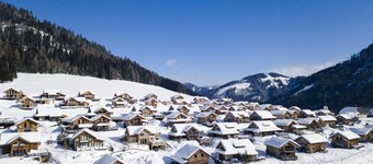 Superior Chalet # 31 with IR-Sauna & Whirlpool bath