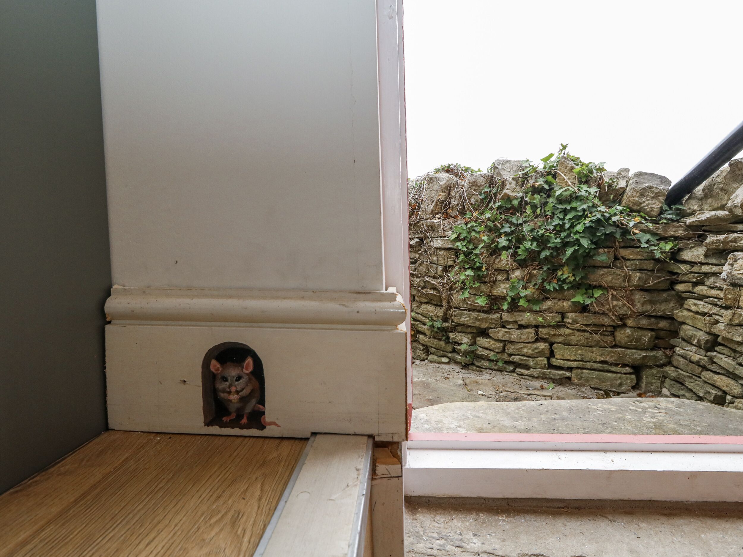 A cat peeking from a small hole in a white wall, with a stone wall and greenery in the background.
