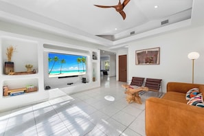 TV, video games, offices