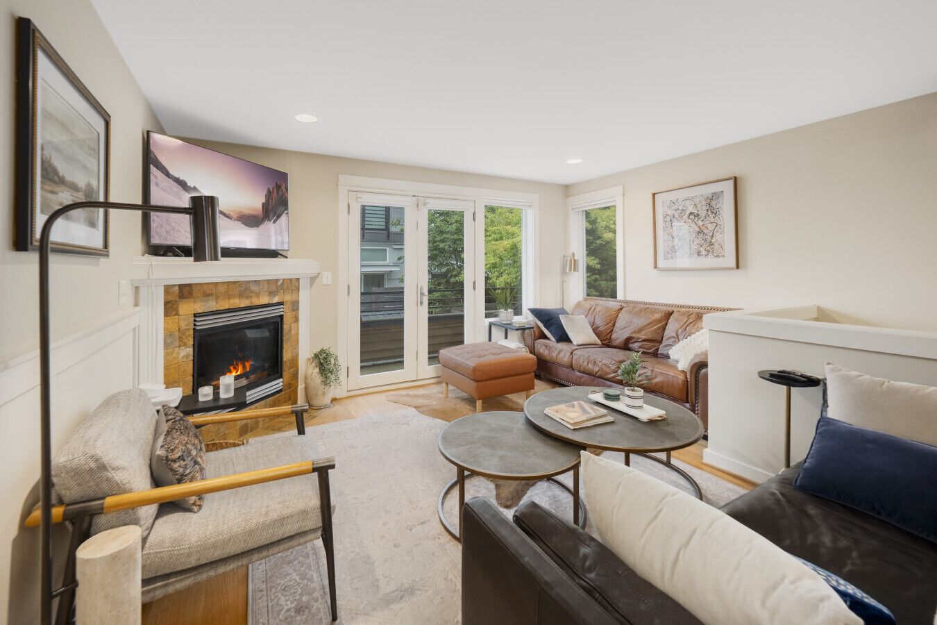 Smart TV, fireplace, books