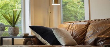 TV connectée, cheminée, livres