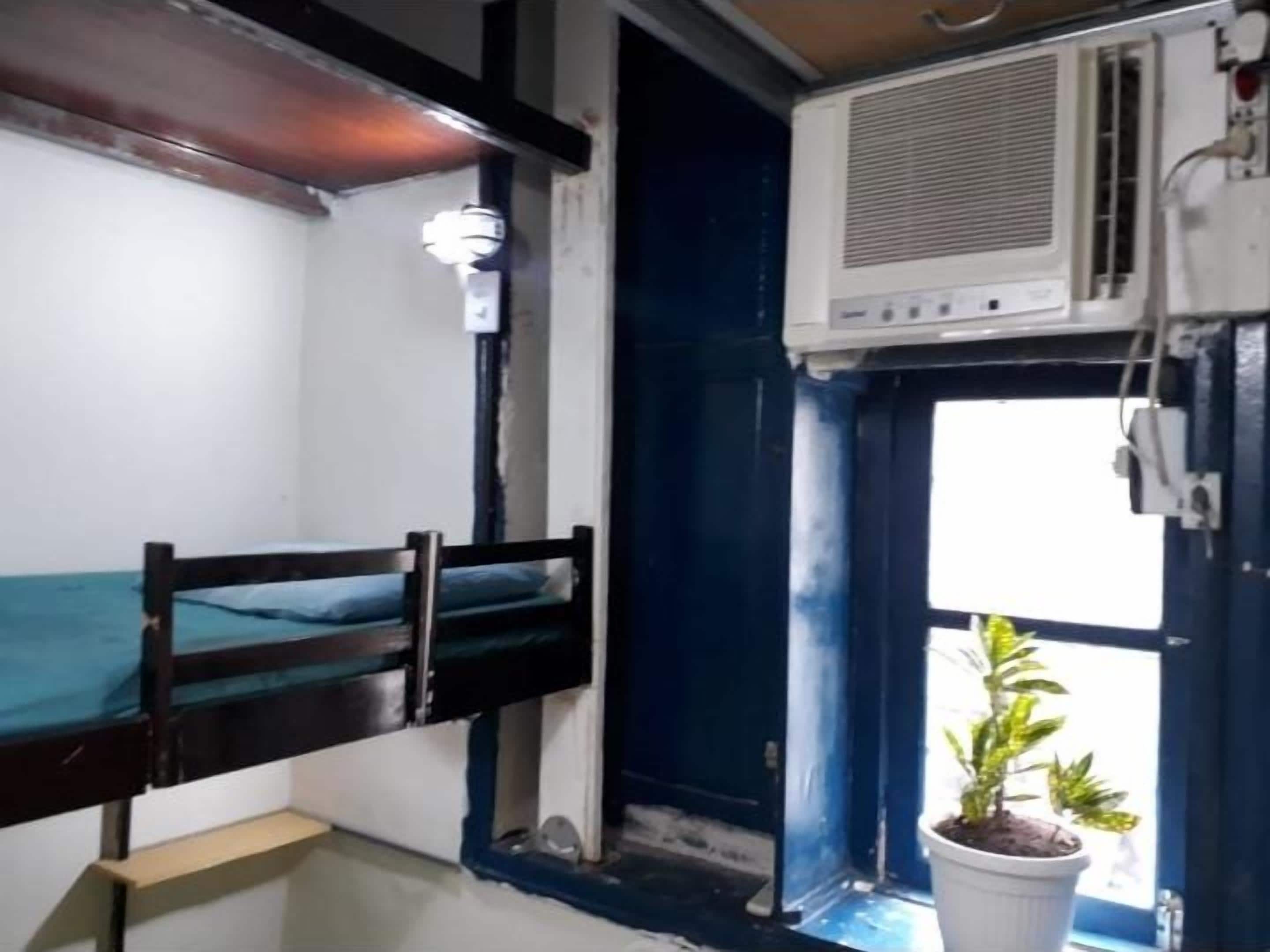 A room with bunk beds, a potted plant, and an air conditioning unit.