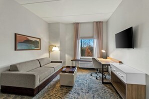 Suite, 1 King-Bett und Schlafsofa