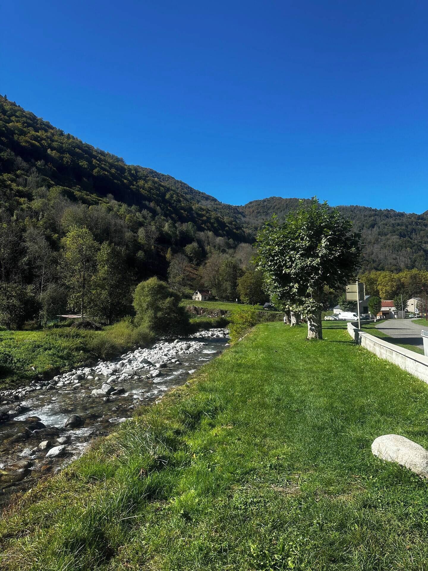 Une rivière serpente à travers un paysage verdoyant et luxuriant, sous un ciel bleu azur.