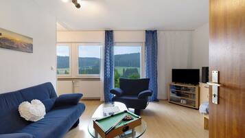 Fernseher, Stereoanlage