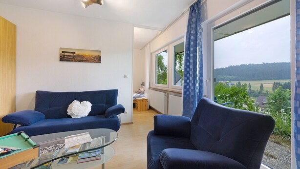 Un salón con un sofá azul, una mesa de centro de cristal y un cuadro en la pared.