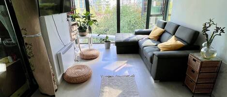 تلفزيون ذكي