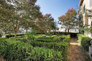 Een aangelegde tuin met hagen, bomen en een pad.