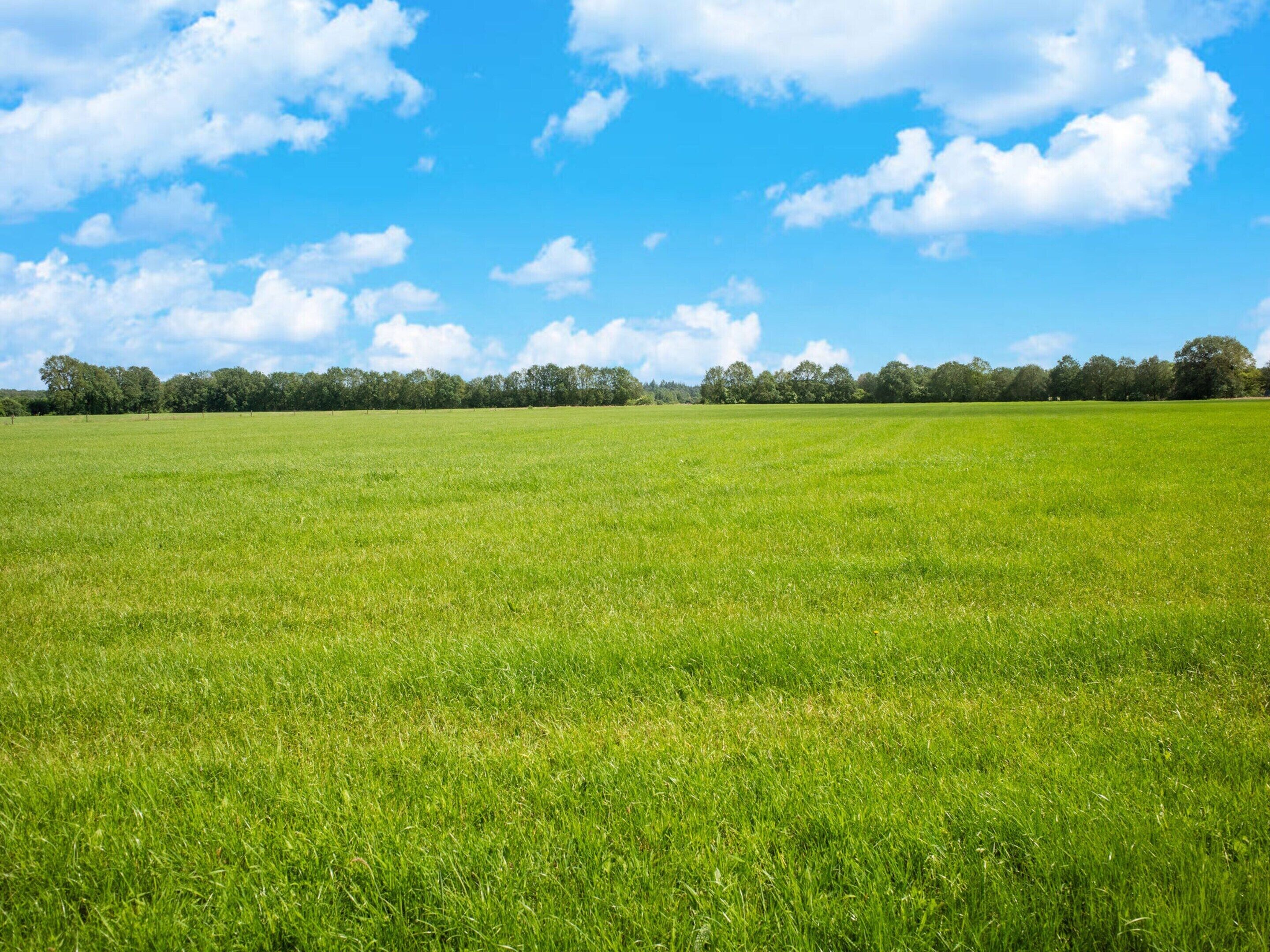 A vast green field under a clear blue sky with scattered clouds.